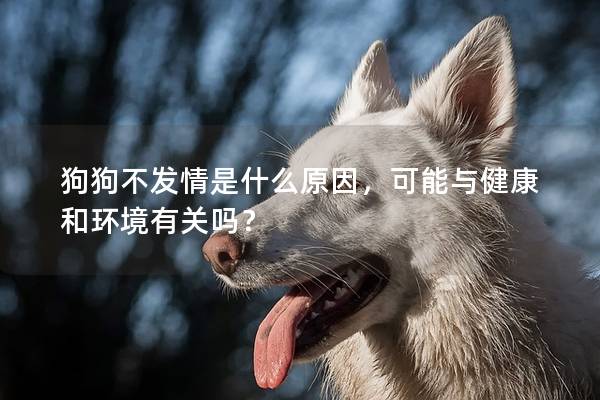 狗狗不发情是什么原因，可能与健康和环境有关吗？