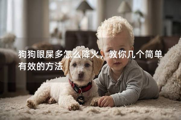 狗狗眼屎多怎么降火，教你几个简单有效的方法