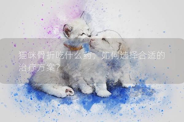 猫咪骨折吃什么药，如何选择合适的治疗方案？