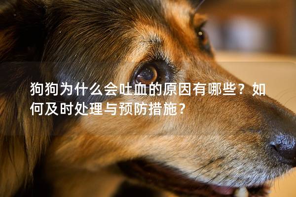 狗狗为什么会吐血的原因有哪些？如何及时处理与预防措施？