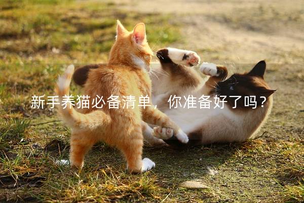 新手养猫必备清单，你准备好了吗？