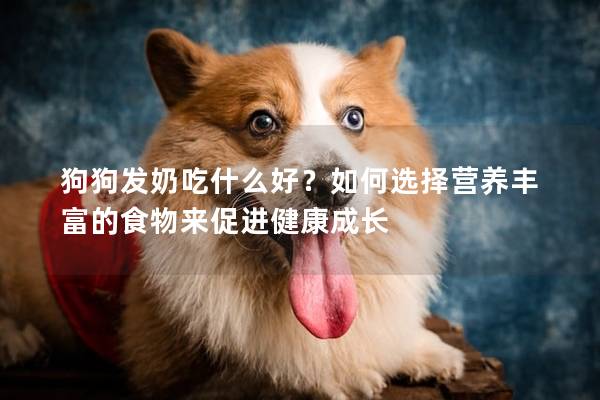 狗狗发奶吃什么好？如何选择营养丰富的食物来促进健康成长