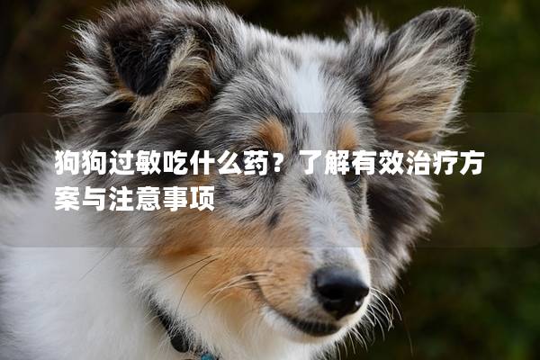 狗狗过敏吃什么药？了解有效治疗方案与注意事项