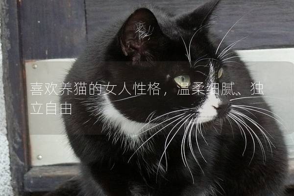 喜欢养猫的女人性格，温柔细腻、独立自由