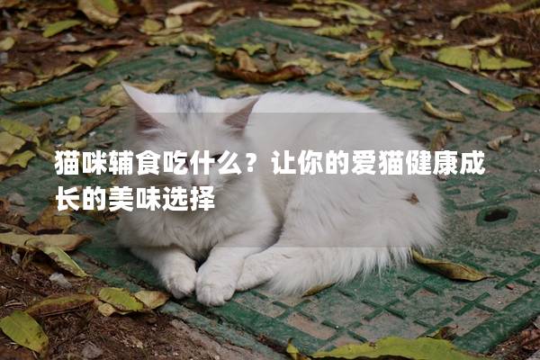 猫咪辅食吃什么？让你的爱猫健康成长的美味选择