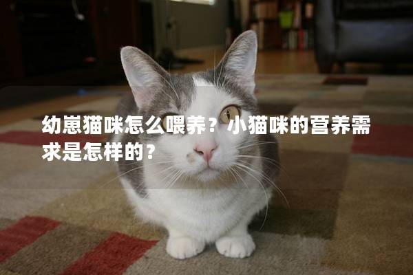 幼崽猫咪怎么喂养？小猫咪的营养需求是怎样的？