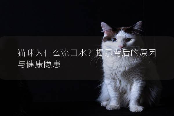 猫咪为什么流口水？揭示背后的原因与健康隐患