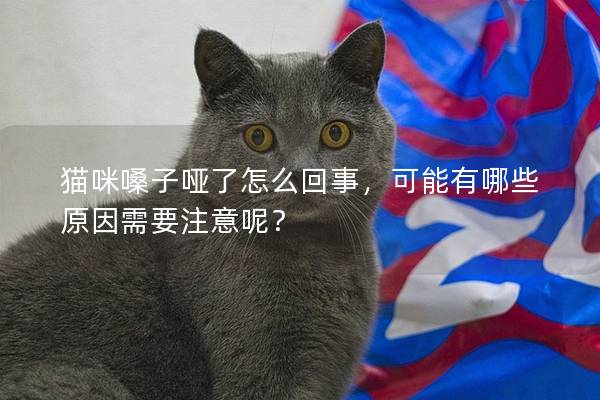 猫咪嗓子哑了怎么回事，可能有哪些原因需要注意呢？