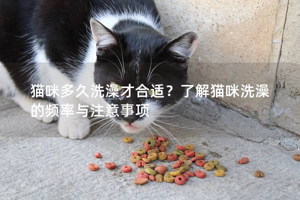 猫咪多久洗澡才合适？了解猫咪洗澡的频率与注意事项