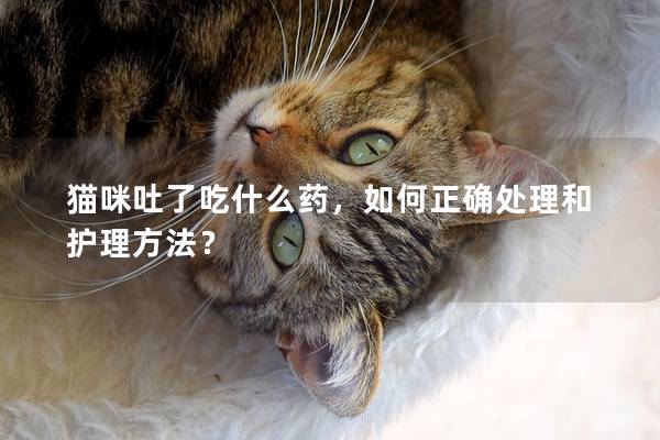 猫咪吐了吃什么药,如何正确处理和护理方法?