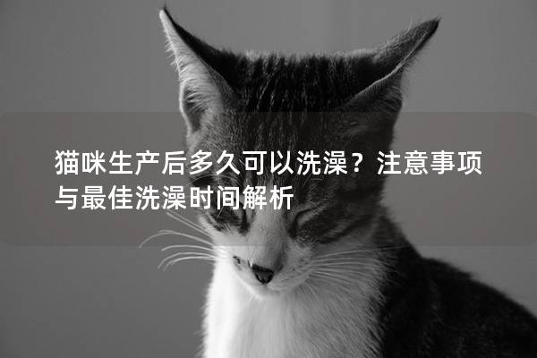 猫咪生产后多久可以洗澡？注意事项与最佳洗澡时间解析