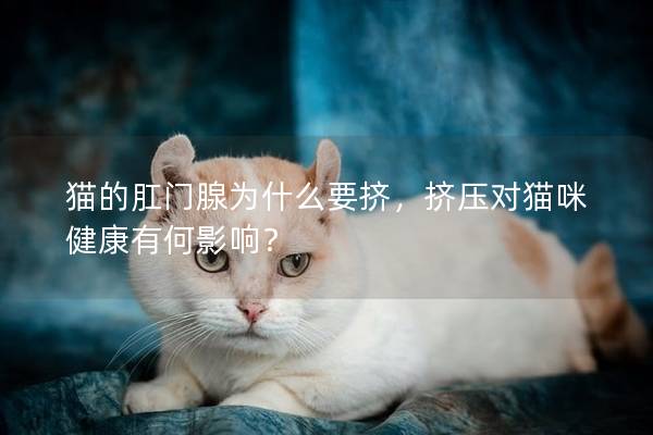 猫的肛门腺为什么要挤，挤压对猫咪健康有何影响？