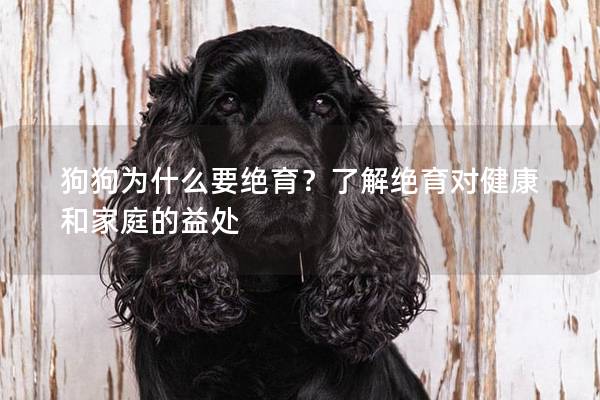 狗狗为什么要绝育？了解绝育对健康和家庭的益处