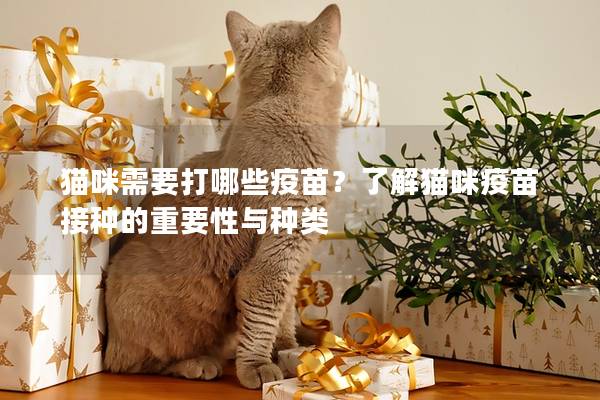 猫咪需要打哪些疫苗？了解猫咪疫苗接种的重要性与种类