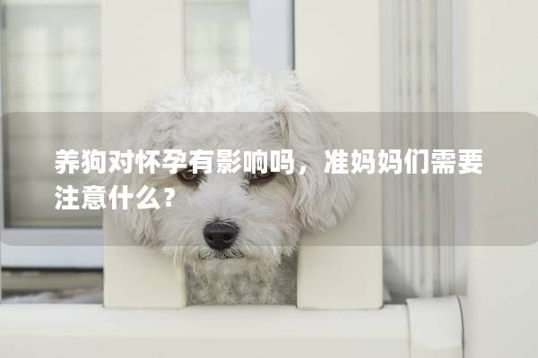 养狗对怀孕有影响吗，准妈妈们需要注意什么？