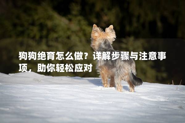 狗狗绝育怎么做？详解步骤与注意事项，助你轻松应对