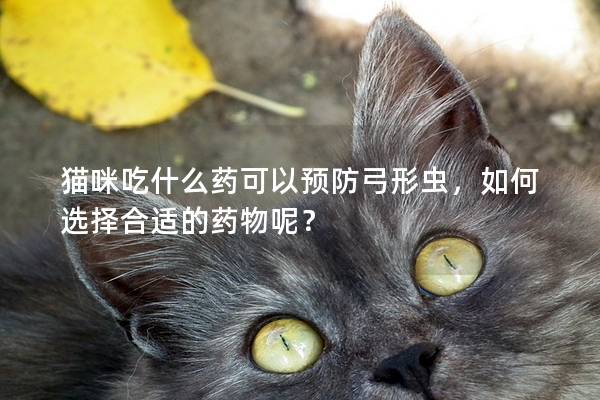 猫咪吃什么药可以预防弓形虫，如何选择合适的药物呢？