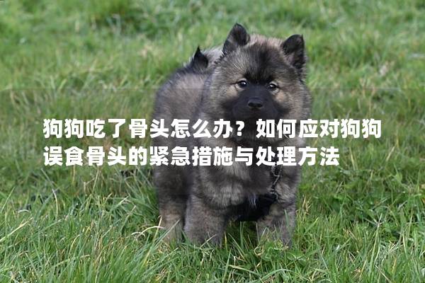 狗狗吃了骨头怎么办？如何应对狗狗误食骨头的紧急措施与处理方法