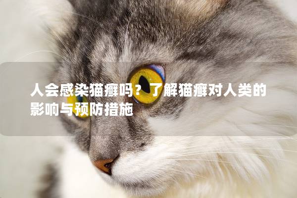 人会感染猫癣吗？了解猫癣对人类的影响与预防措施