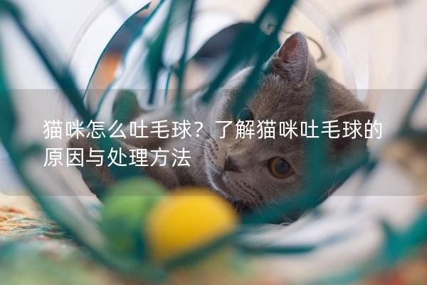 猫咪怎么吐毛球？了解猫咪吐毛球的原因与处理方法