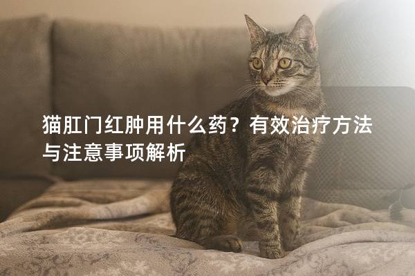 猫肛门红肿用什么药？有效治疗方法与注意事项解析