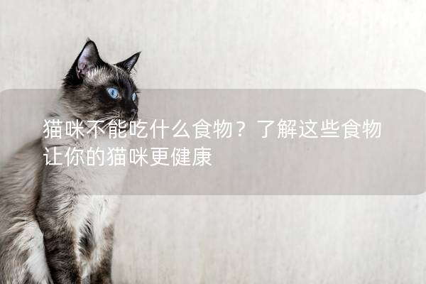 猫咪不能吃什么食物？了解这些食物让你的猫咪更健康