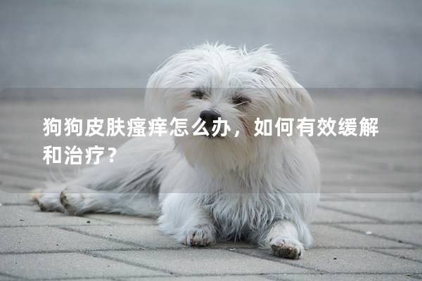 狗狗皮肤瘙痒怎么办，如何有效缓解和治疗？