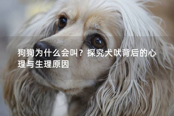 狗狗为什么会叫？探究犬吠背后的心理与生理原因