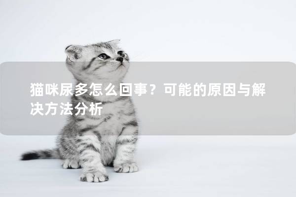 猫咪尿多怎么回事？可能的原因与解决方法分析