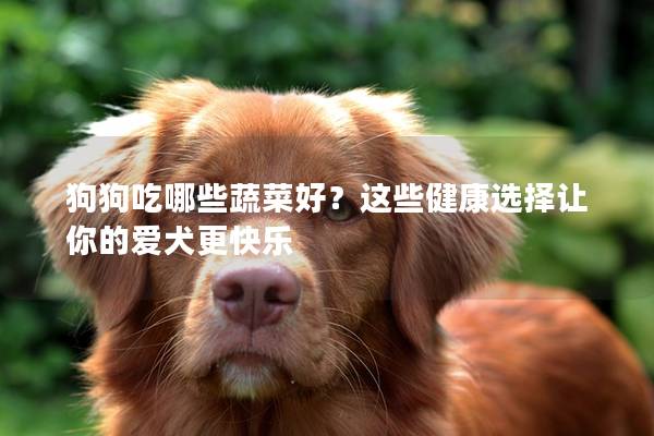 狗狗吃哪些蔬菜好？这些健康选择让你的爱犬更快乐