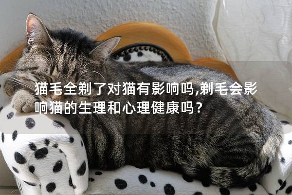 猫毛全剃了对猫有影响吗,剃毛会影响猫的生理和心理健康吗？