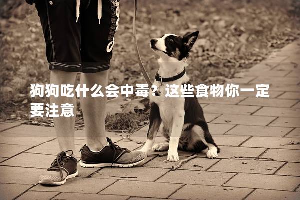 狗狗吃什么会中毒？这些食物你一定要注意