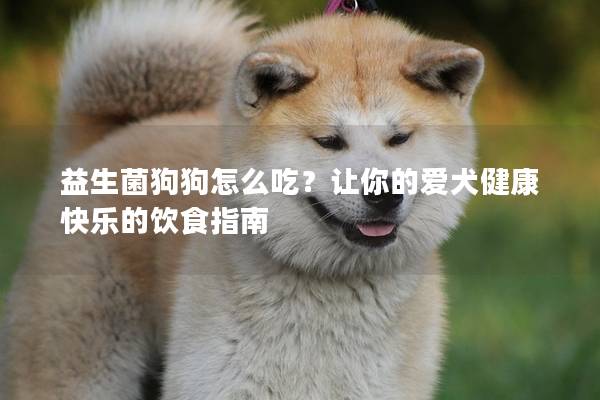 益生菌狗狗怎么吃？让你的爱犬健康快乐的饮食指南