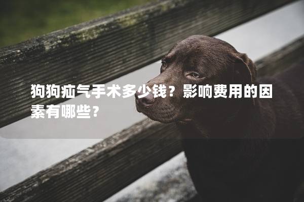 狗狗疝气手术多少钱？影响费用的因素有哪些？