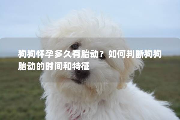 狗狗怀孕多久有胎动？如何判断狗狗胎动的时间和特征