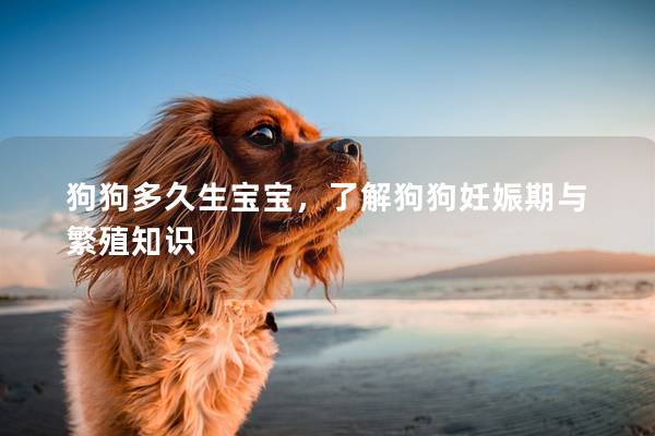 狗狗多久生宝宝，了解狗狗妊娠期与繁殖知识