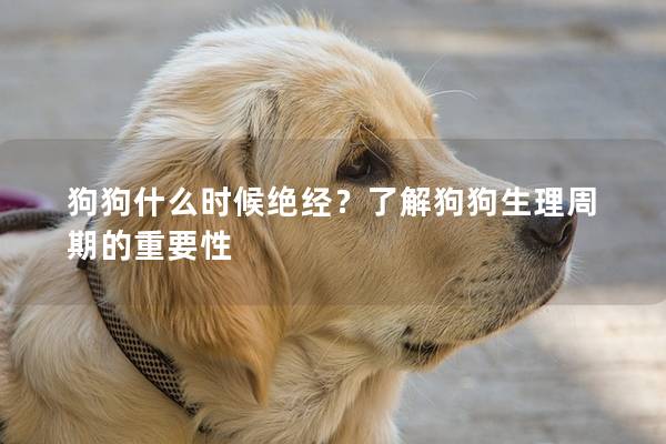 狗狗什么时候绝经？了解狗狗生理周期的重要性