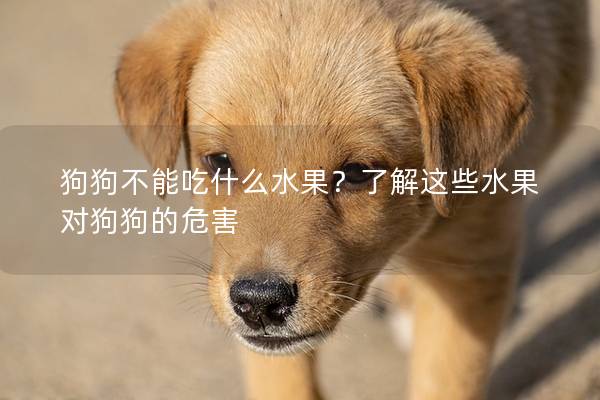 狗狗不能吃什么水果？了解这些水果对狗狗的危害