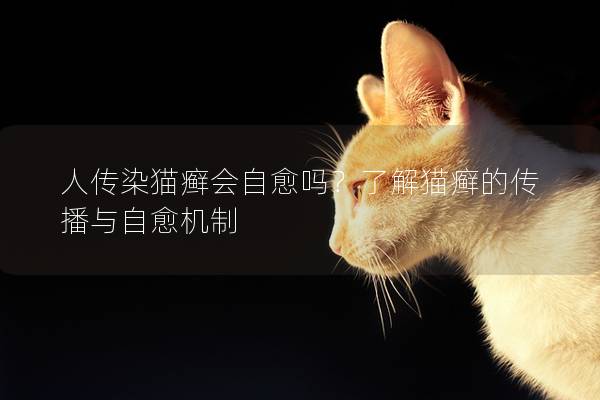 人传染猫癣会自愈吗？了解猫癣的传播与自愈机制