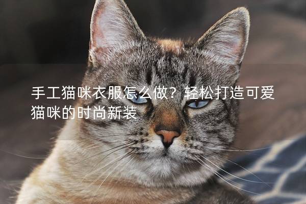 手工猫咪衣服怎么做？轻松打造可爱猫咪的时尚新装