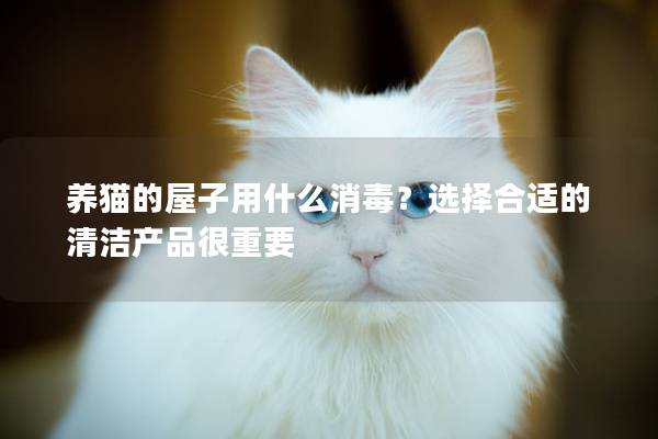 养猫的屋子用什么消毒？选择合适的清洁产品很重要