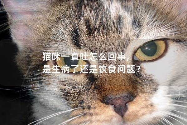 猫咪一直吐怎么回事, 是生病了还是饮食问题？