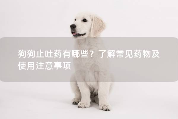 狗狗止吐药有哪些？了解常见药物及使用注意事项