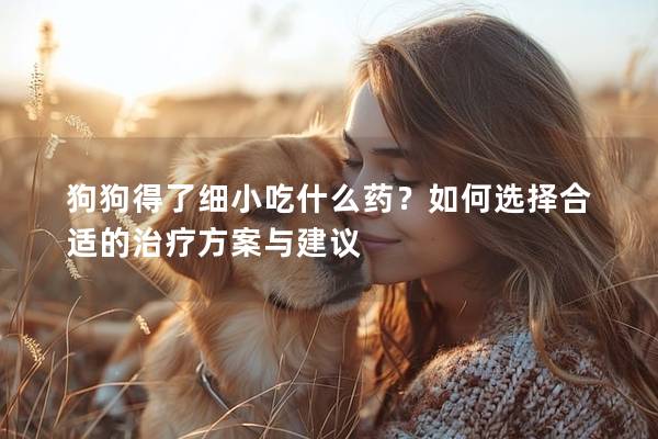 狗狗得了细小吃什么药？如何选择合适的治疗方案与建议