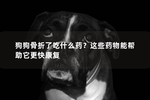 狗狗骨折了吃什么药？这些药物能帮助它更快康复