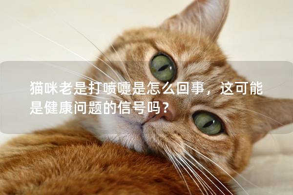 猫咪老是打喷嚏是怎么回事，这可能是健康问题的信号吗？