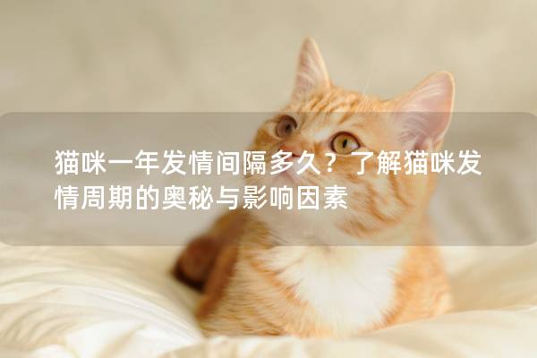 猫咪一年发情间隔多久？了解猫咪发情周期的奥秘与影响因素