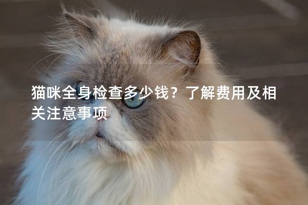 猫咪全身检查多少钱？了解费用及相关注意事项