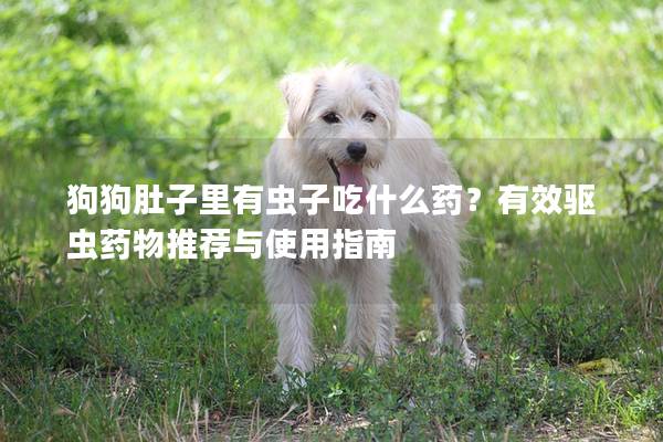 狗狗肚子里有虫子吃什么药？有效驱虫药物推荐与使用指南