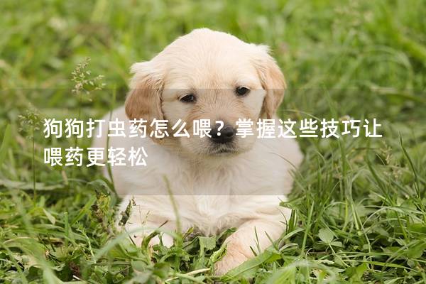 狗狗打虫药怎么喂？掌握这些技巧让喂药更轻松